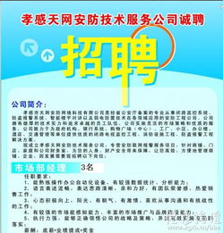 孝感天網(wǎng)安防技術(shù)服務(wù)公司誠聘技術(shù)服務(wù)精英
